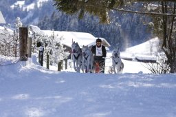 Lenk 2013